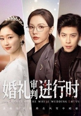 婚礼审判进行时