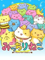 萌猫向前冲