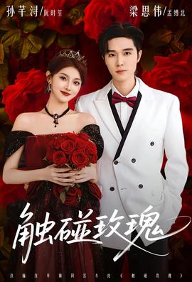 触碰玫瑰